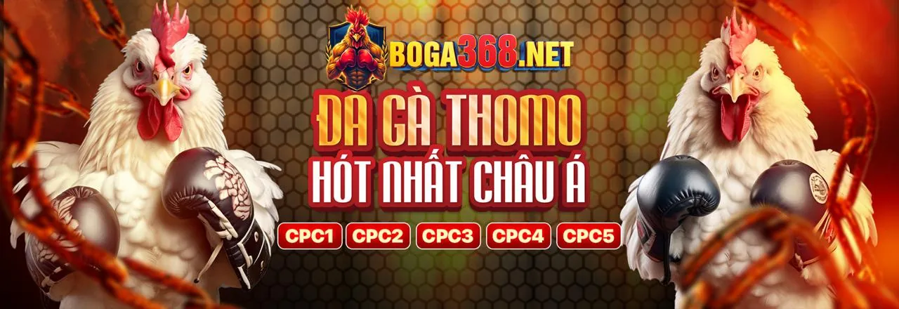 Câu lạc bộ VIP VL88 với các ưu đãi độc quyền và dịch vụ sang trọng